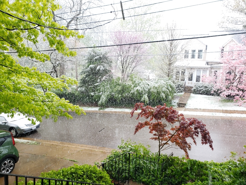2021-04-20 spring snow.jpg